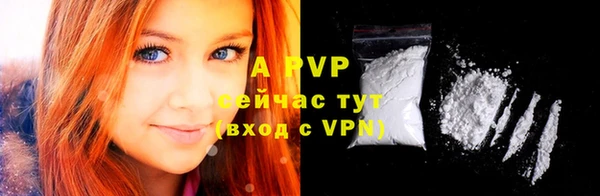 гашик Медногорск
