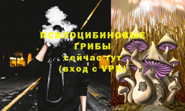 PSILOCYBIN Мегион