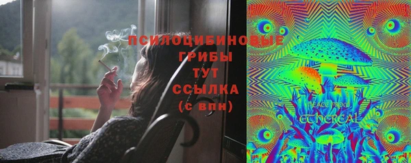 MDMA Premium VHQ Нижний Тагил