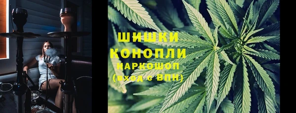 PSILOCYBIN Мегион