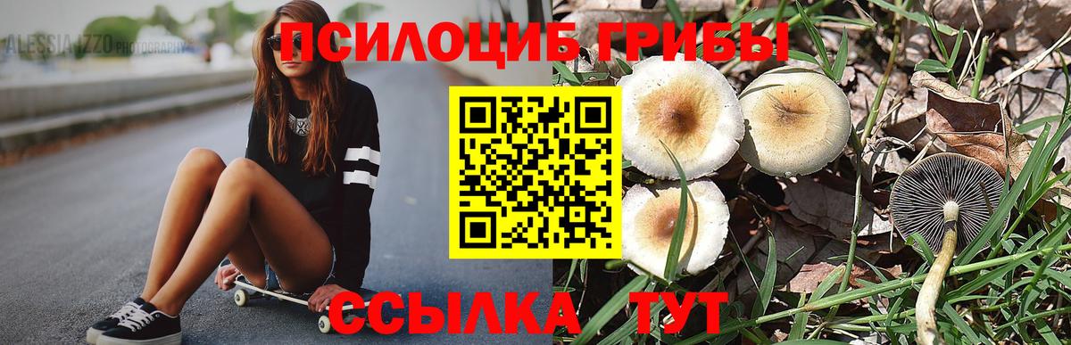 продажа наркотиков  Псилоцибиновые грибы Cubensis  Вход с VPN  Нальчик 