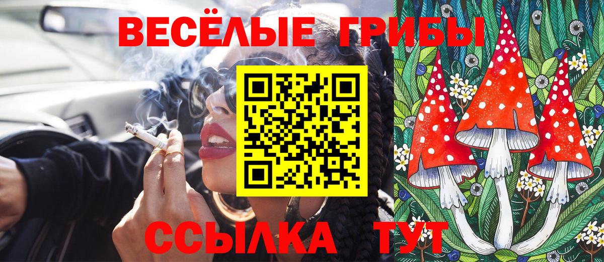 Галлюциногенные грибы Cubensis Нальчик